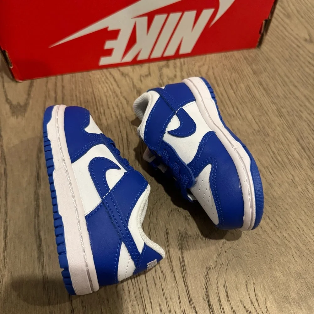 Nike Dunk Low Blue White